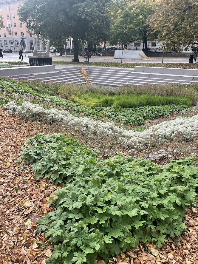 En regnpark i  Stockholm  med blommor i förgrund och markplattor i bakgrund.