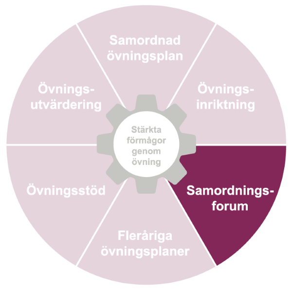 Cirkel uppdelad i tårtbitar. Tårtbiten samordningsforum är markerad.