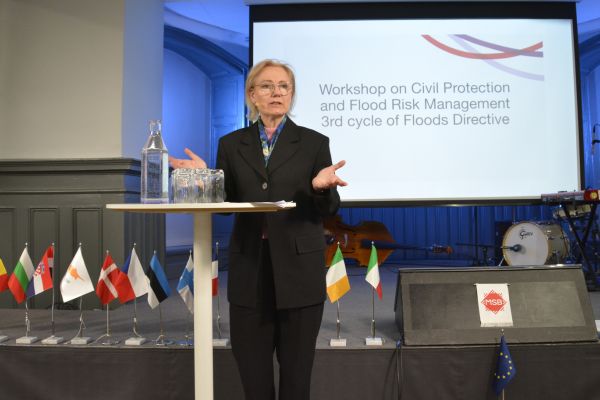 Generaldirektör Charlotte Petri Gornitzka