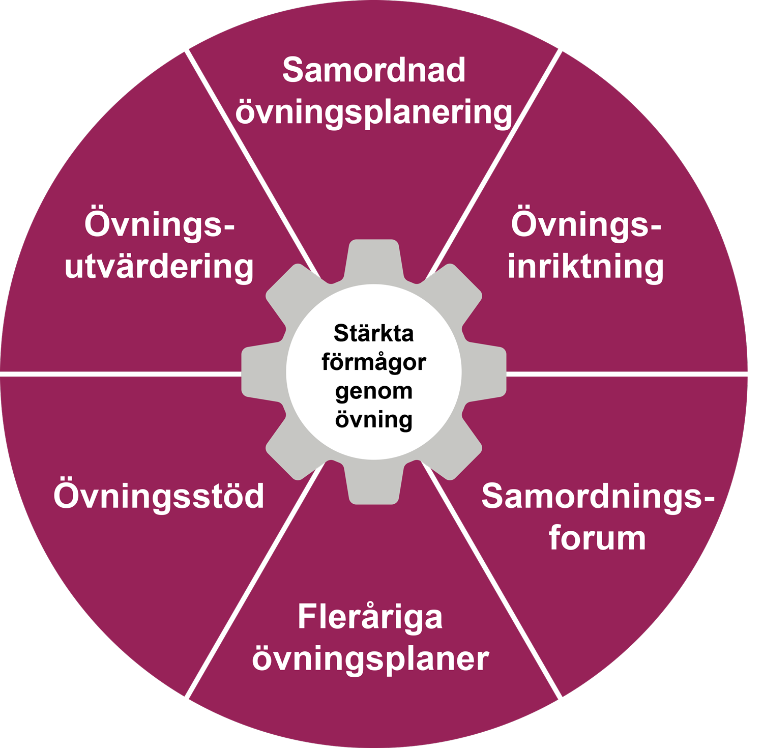 Bilden föreställer ett tårtdiagram över systematisk övningsverksamhet.