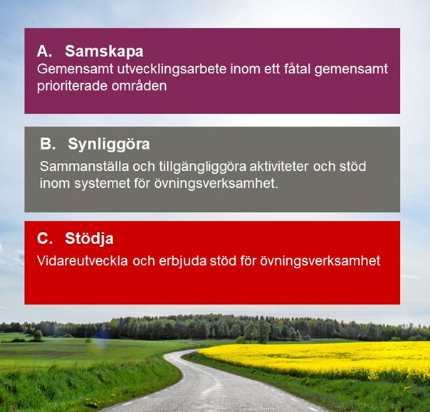 Bild med rubrikerna Samskapa, Synliggöra, Stödja