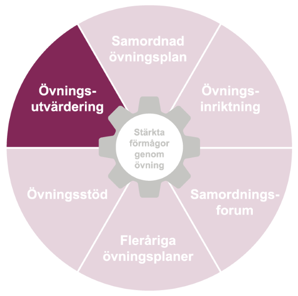 Cirkel uppdelad i tårtbitar. Tårtbiten Övningsutvärdering är markerad.