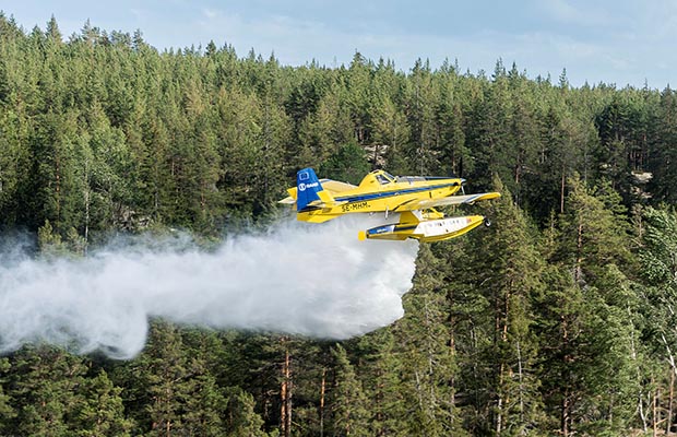 Flygplan som släpper vatten över granskog