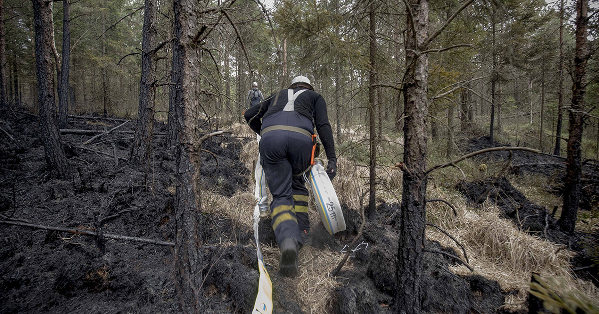 Så har MSB stärkt beredskapen att hantera skogsbränder MSB planerar tre nya tältläger | SVT Nyheter