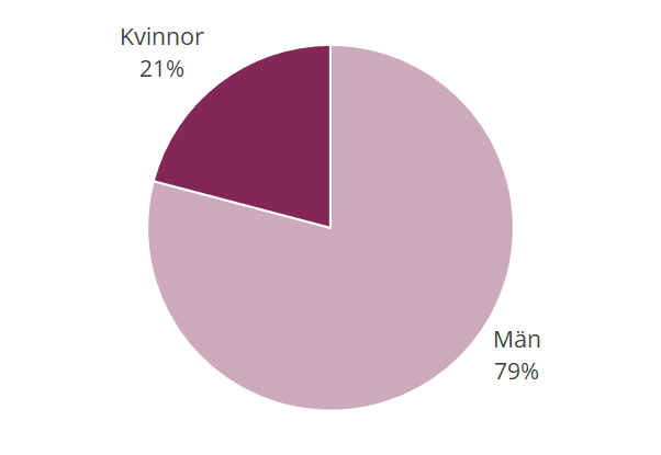 Diagram över kön på den som skadats av fyrverkerier, 16 % var under 13 år, 31 % var 13 till 18 år och 53 % var över 18 år.