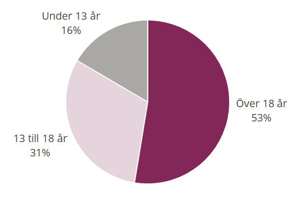 Diagram över om ålder på den som skadats av fyrverkerier, 16 % var under 13 år, 31 % var 13 till 18 år och 53 % var över 18 år.