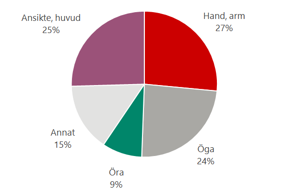  Diagram över vilken kroppsdel som skadats. Flest är arm och händer 27 %, ansikte och huvud 25 %, 24 % öga samt öra 9 %. 15 % av skadorna är på andra kroppsdelar.